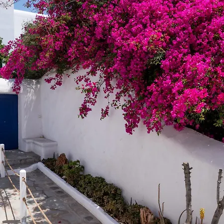 Daire Olive Tree Semi-basement *