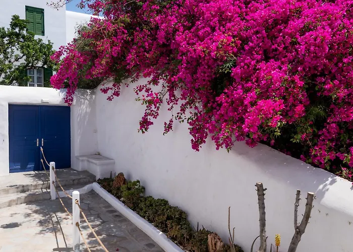 Apartment Olive Tree Semi-basement *